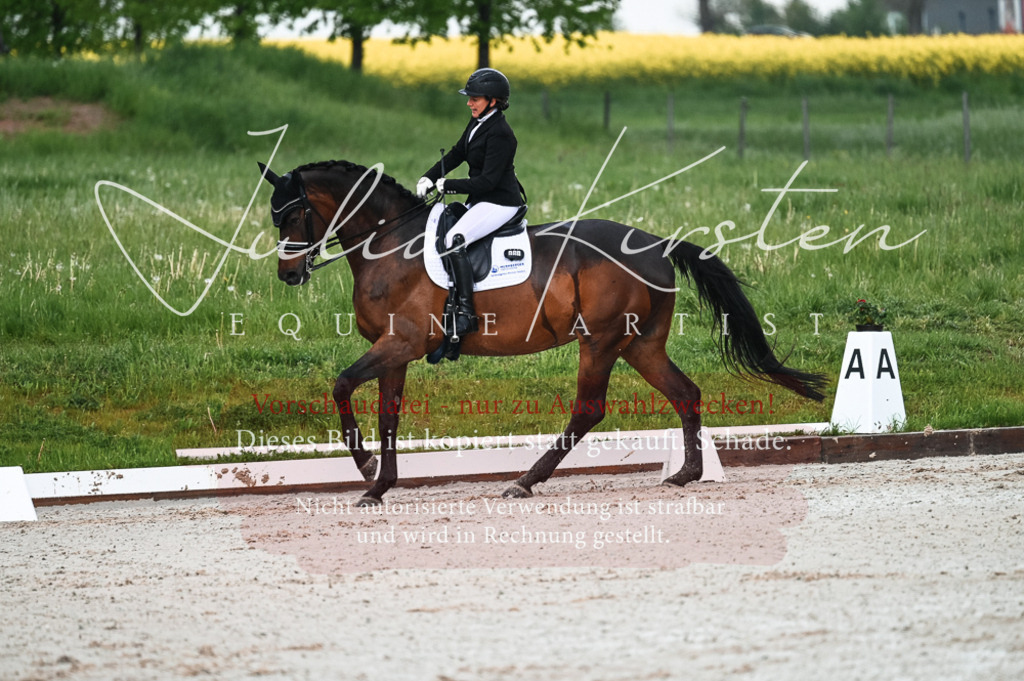 DSC_4210 | Pferde- und Turnierfotografie in Westsachsen. Pferdeportraits, Auftragszeichnungen und intuitive Kunst.