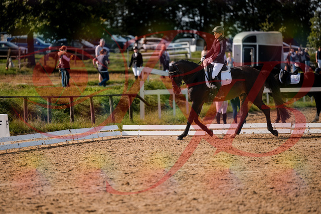 2026_10_03_Siefer-Hof_133442_Z63_93233547 | Professionelle Reitsport-, Turnier- und Eventfotografie von Robert Broda. Galerien mit ausgewählten und bearbeiteten Bildern direkt online ansehen und bestellen.
