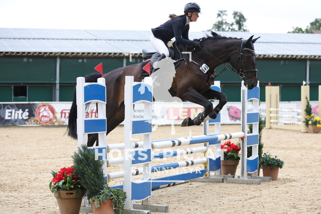 0P6A2795 | Willkommen bei Brunnmayr - Design & Fotografie – Ihrem Spezialisten für Reitturniere und Pferdeveranstaltungen in Oberösterreich, Salzburg und Bayern! Seit über 17 Jahren sind wir leidenschaftlich dabei.