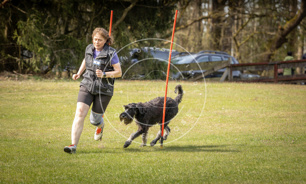 Pfotenfotografie_DV3A9658 | Hundefotografie, Tierfotograf, Pfotenfotografie, Fotoshooting Hund, Hunde Portrait, Hundesport, Hundeportraits, Heideshooting, Hunde, Sportfotograf, Hundefotograf, Turnierhundsport, THS,  - Realisiert mit Pictrs.com