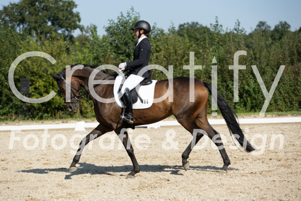 IMG_5961 | Creatify Fotografie