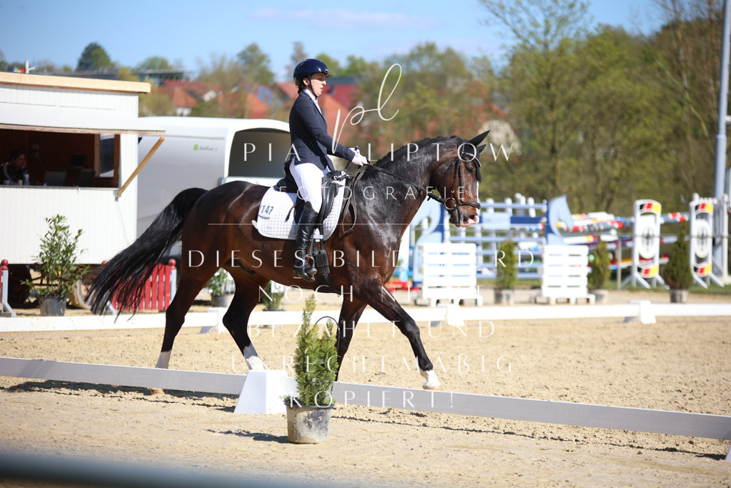 IMGT8411 | pl-fotografie