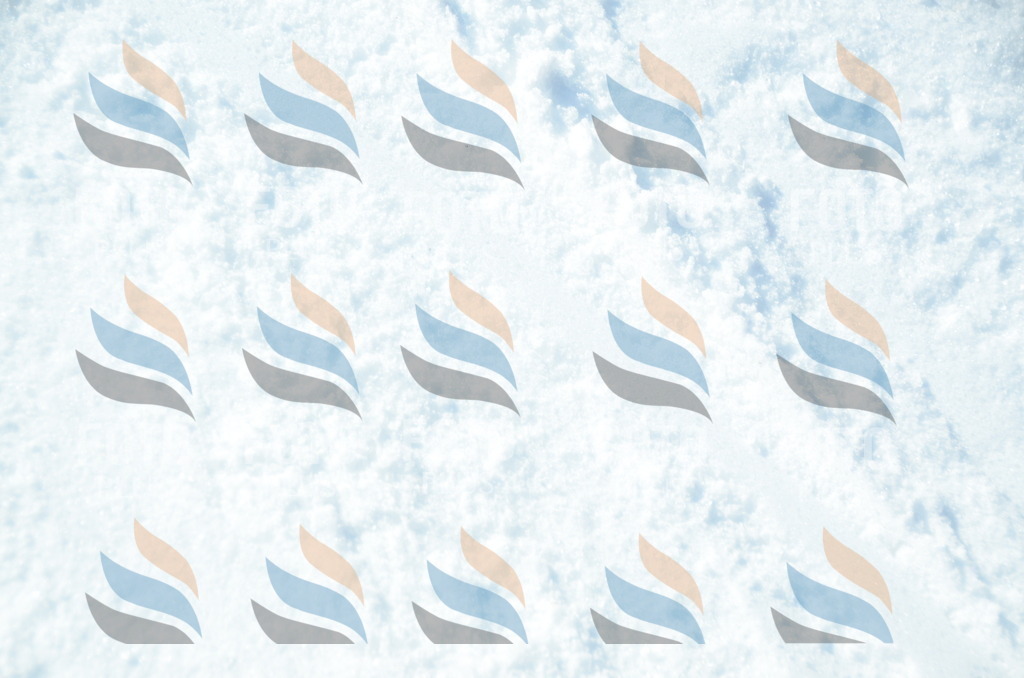 C6191 | holidayphoto