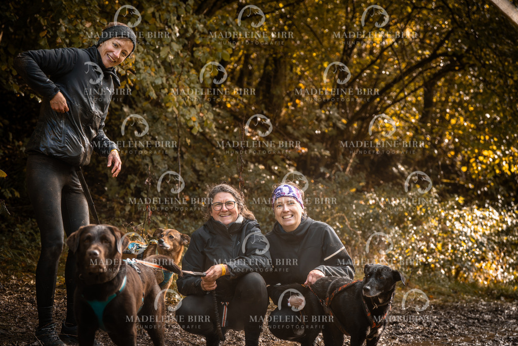 madeleinebirr-fotografie2025.campcanis.sa.15-16Uhr-476 | hundefotografie-birr