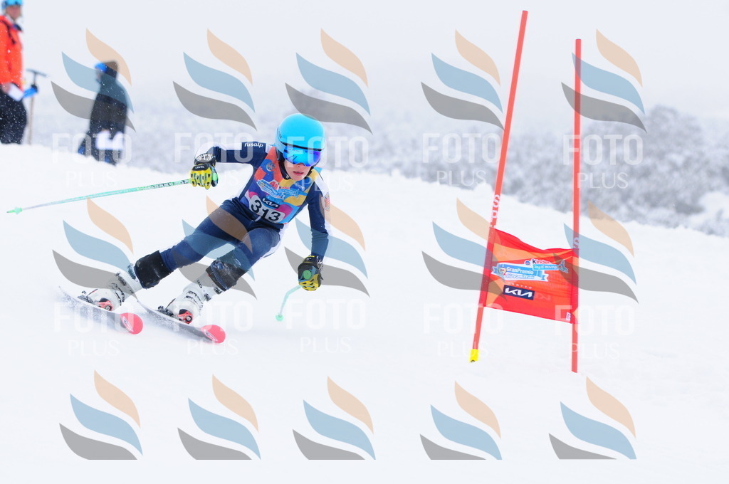 C3320 | holidayphoto