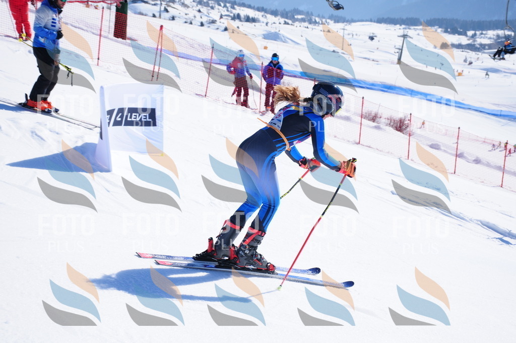 DSC_3648 | holidayphoto