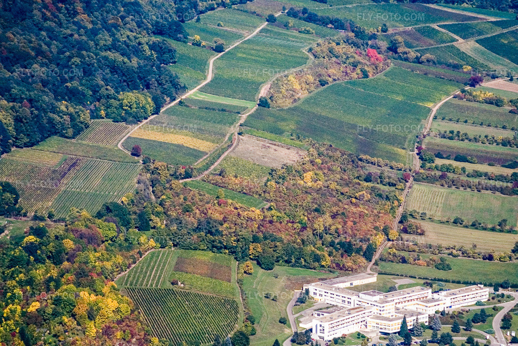 Aerial view: Wissembourg, Sonnenberg after silence in Oberhoffen-lès-Wissembourg in the state Bas-Rhin, France.Photo: IMG_13613.jpg taken on 09/28/2008 by Werner Riehm/FLY-FOTO.comResolution of the original: 2819 x 1879 px