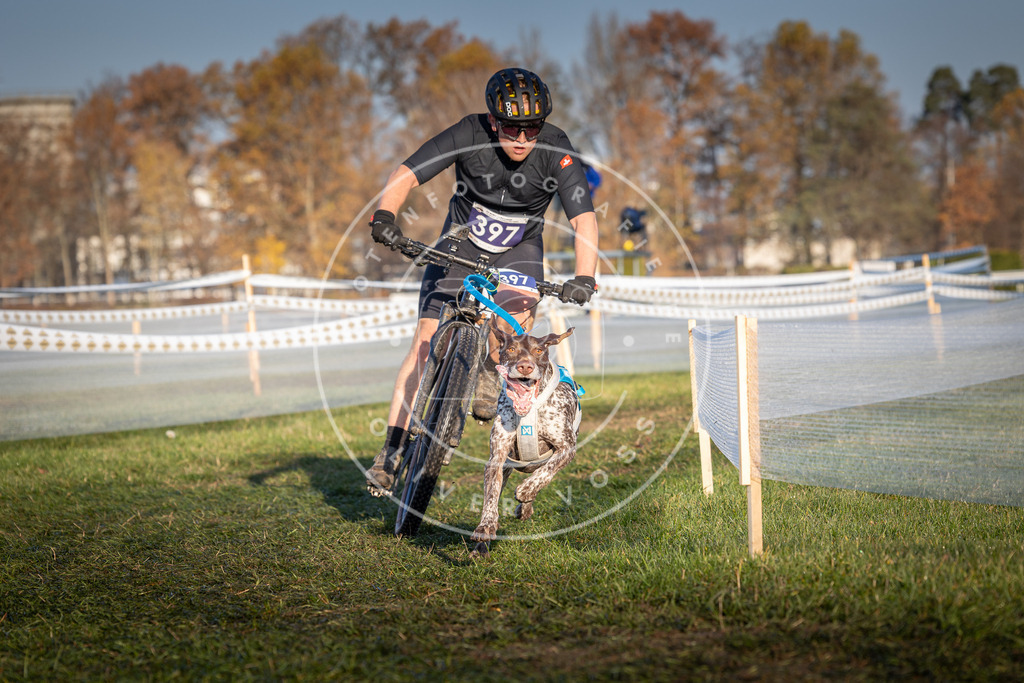 CaniXpix_0L8A3908 | Hundefotografie, Tierfotograf, Pfotenfotografie, Fotoshooting Hund, Hunde Portrait, Hundesport, Hundeportraits, Heideshooting, Hunde, Sportfotograf, Hundefotograf, Turnierhundsport, THS,  - Realisiert mit Pictrs.com