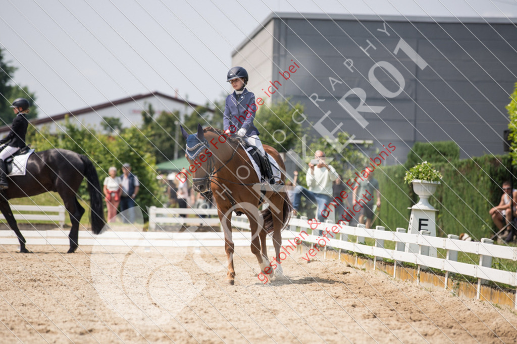 IMG_3936 | Sport-, Event- und Tierfotos in Profiqualität. Einfach auswählen, bestellen und herunterladen. Dein Moment – perfekt festgehalten.