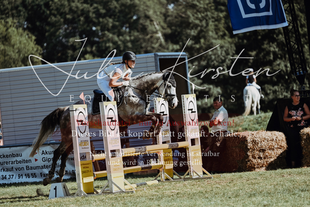 DSC_6787 | Pferde- und Turnierfotografie in Westsachsen. Pferdeportraits, Auftragszeichnungen und intuitive Kunst.