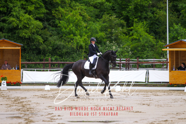 DKP46659 | Turniersportfotografie; Pferdefotografie; Dressurfotografie