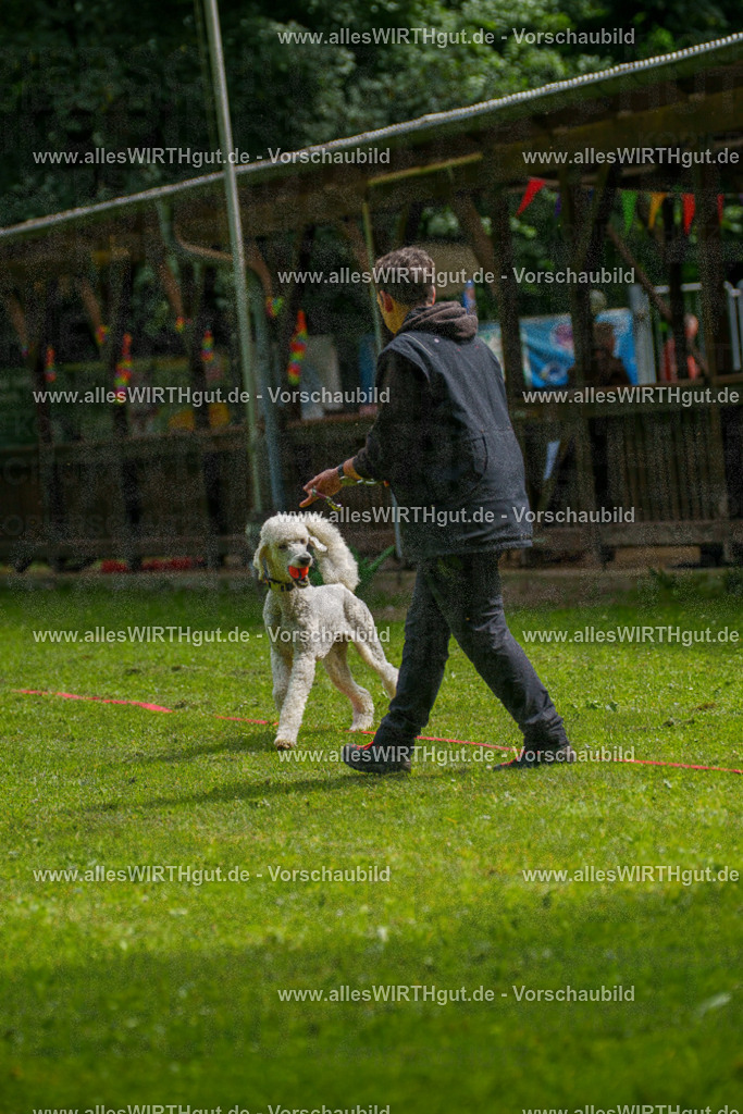 @allesWIRTHgut_Tierfotografie - www.allesWIRTHgut.de - 7R503663 | Professionelle Tierfotografie in Mönchengladbach von Daniel Wirth (allesWIRTHgut). Liebevolle & natürliche Bilder von Hunden & Katzen für unvergessliche Erinnerungen.