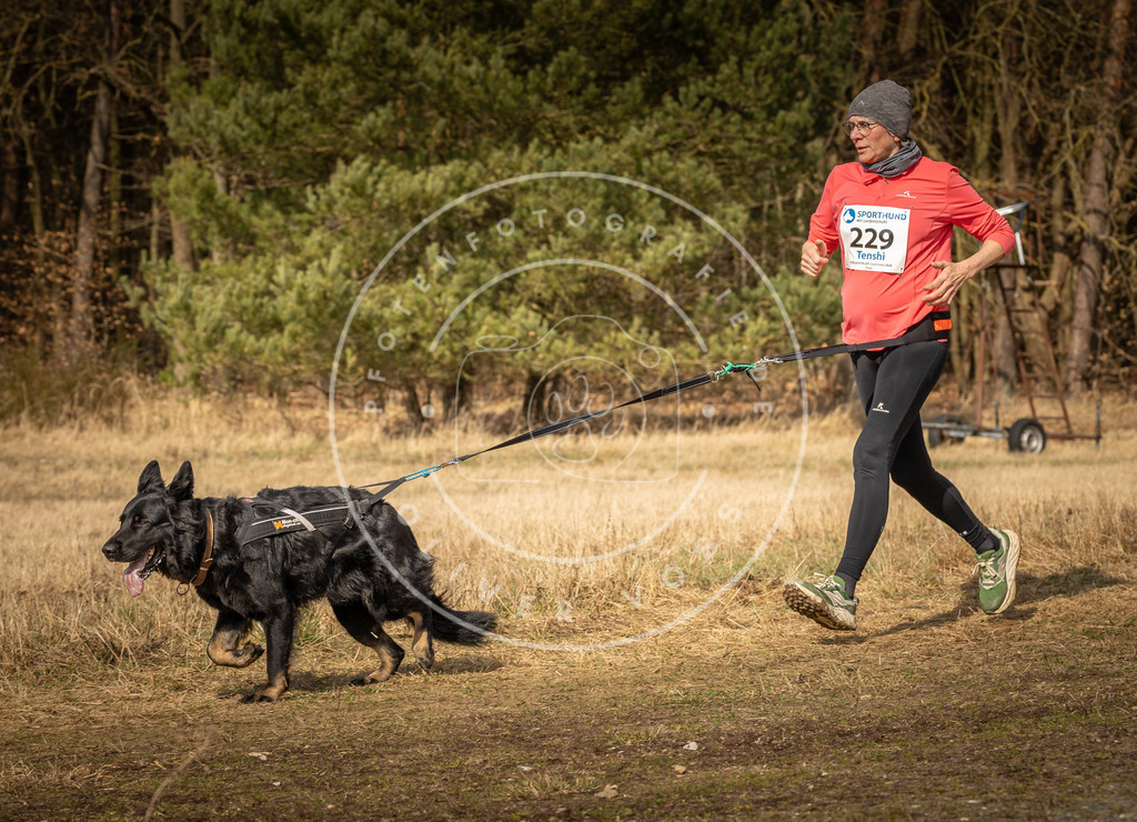 DV3A5491 | Hundefotografie, Tierfotograf, Pfotenfotografie, Fotoshooting Hund, Hunde Portrait, Hundesport, Hundeportraits, Heideshooting, Hunde, Sportfotograf, Hundefotograf, Turnierhundsport, THS,  - Realisiert mit Pictrs.com