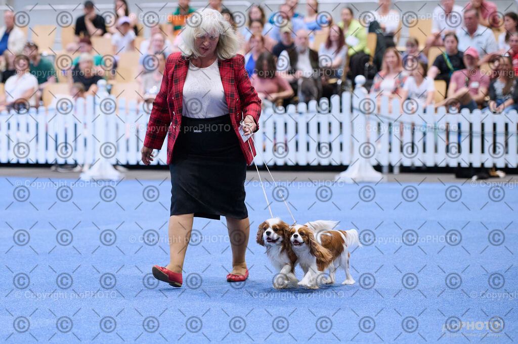 202406_ÖKV-IHA-Tulln24_DSC_3714 | proPHOTO - Realisiert mit Pictrs.com