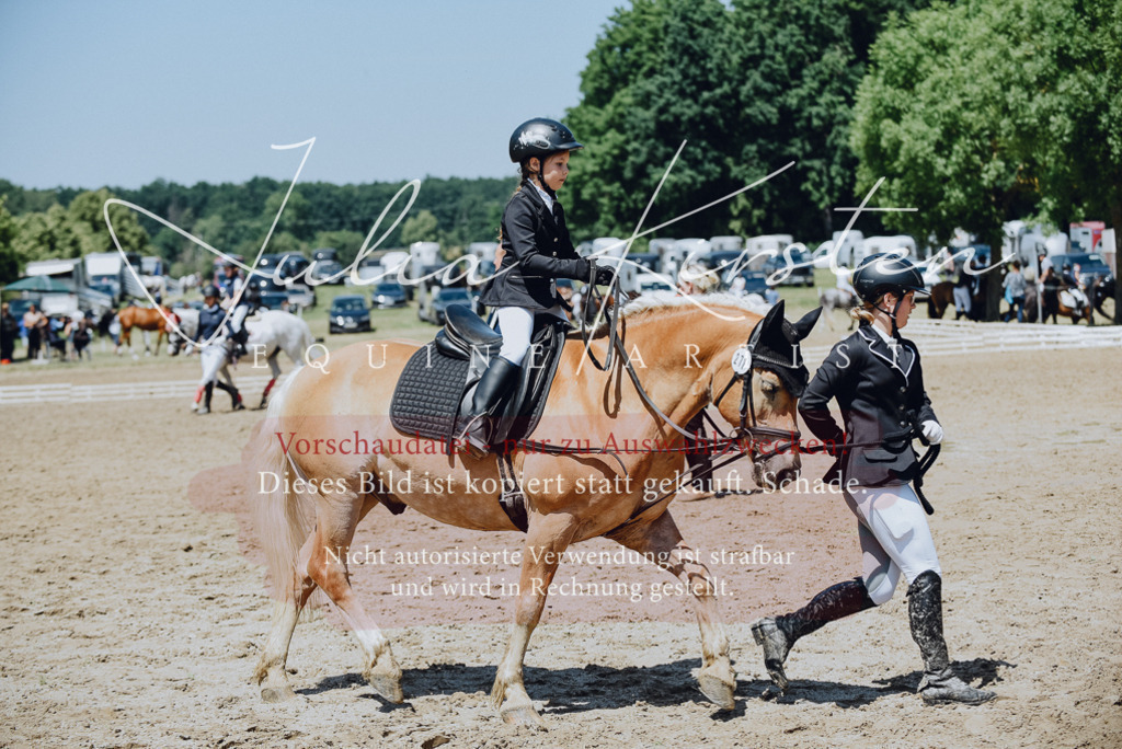 DSC_2456 | Pferde- und Turnierfotografie in Westsachsen. Pferdeportraits, Auftragszeichnungen und intuitive Kunst.
