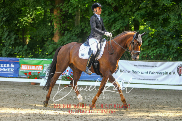 DKP42568 | Turniersportfotografie; Pferdefotografie; Dressurfotografie