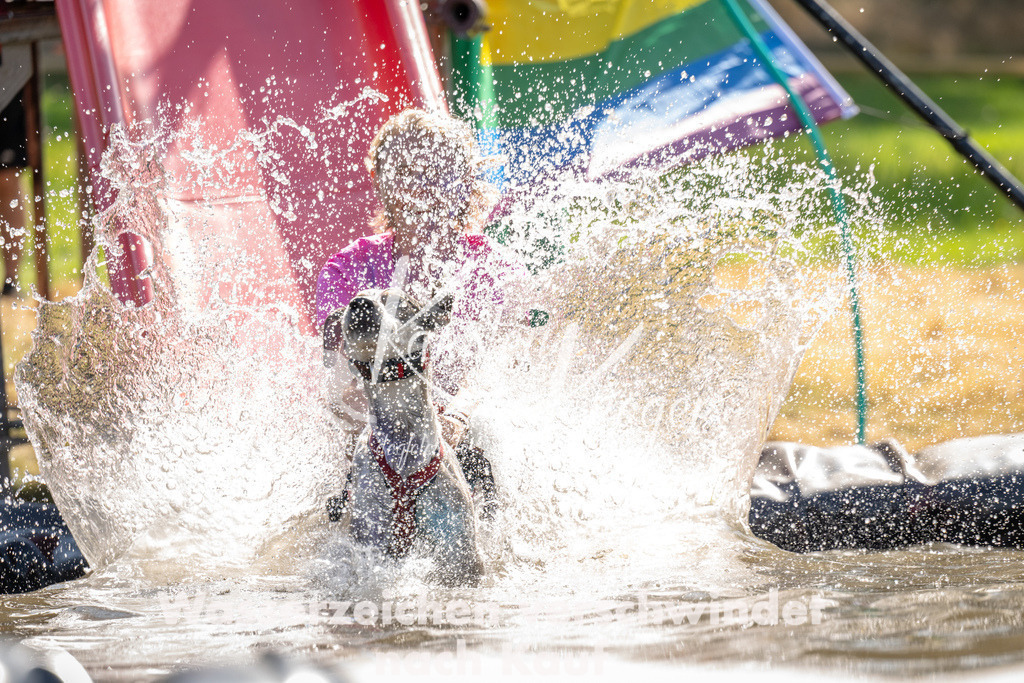 1437_ZZ91229 | kk-dogfotos