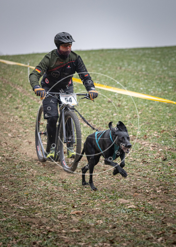 Pfotenfotografie_DV3A1146 | Hundefotografie, Tierfotograf, Pfotenfotografie, Fotoshooting Hund, Hunde Portrait, Hundesport, Hundeportraits, Heideshooting, Hunde, Sportfotograf, Hundefotograf, Turnierhundsport, THS,  - Realisiert mit Pictrs.com