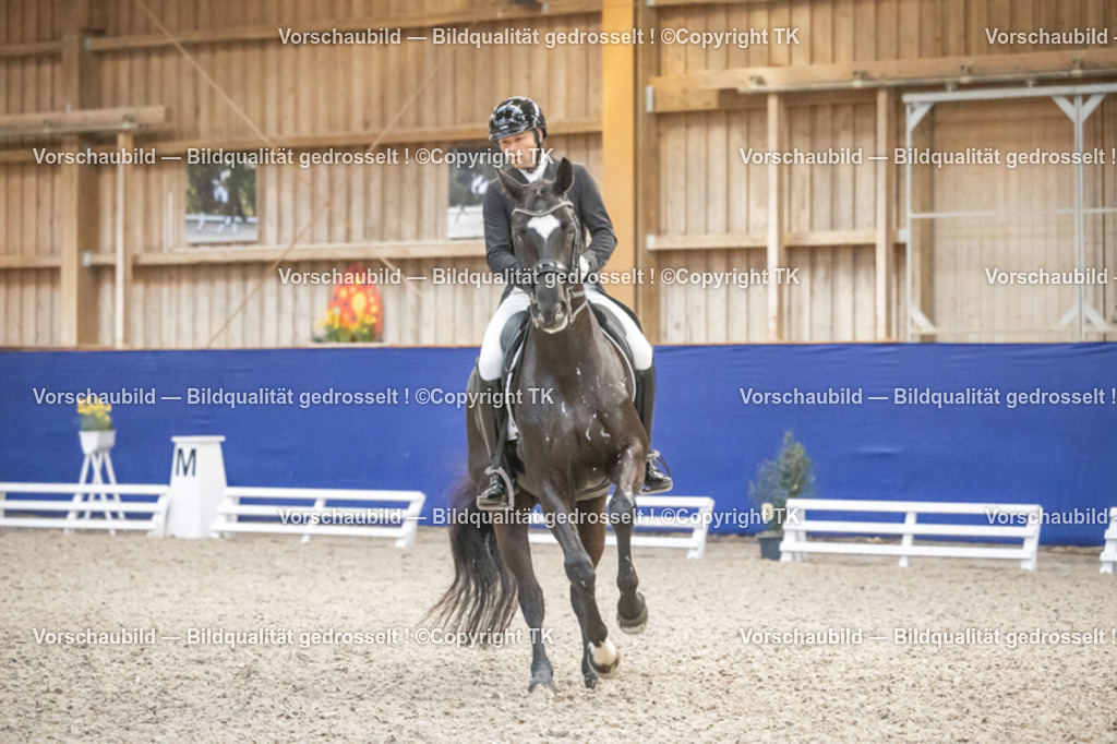 _D5A4591 | Emotionale Pferde- & People-Fotografie rund um Heidelberg, Leimen & Umgebung. Natürliche Fotos von Pferd, Mensch & Familie. Jetzt Termin sichern!