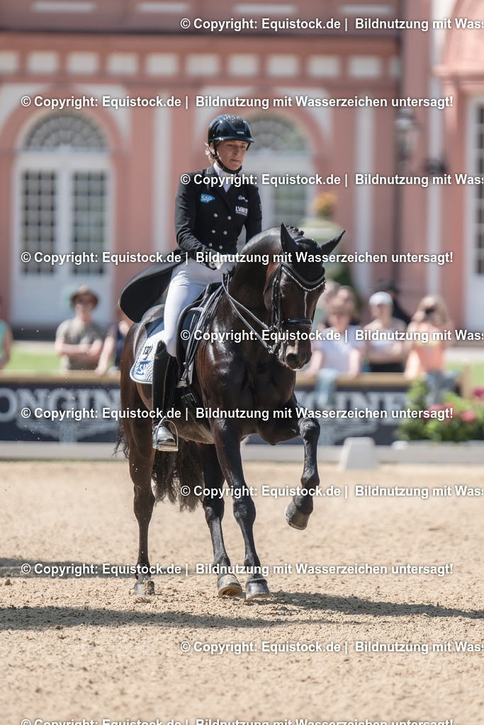 20230529_29_Louisdor_0036 | equistock