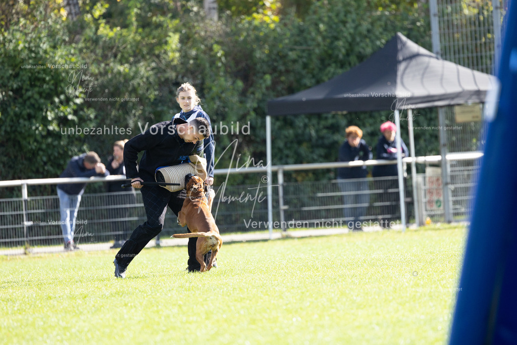 _16A5363 | Einzigartige Fotos von Hunden & Menschen –Actionfotos, Portraits, Vereinsaufnahmen & Paarshootings – authentisch, lebendig & mit Herz.