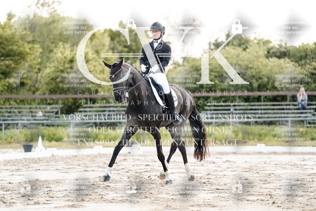 CK909380 | Turnierfotografie Pferdefotografie Trier Rheinland-Pfalz Pferdesport Reitsport Tierfotografie Sportfotografie Pferdevideo Pferdevideografie Equestrianvideography equestrianphotography  - Realisiert mit Pictrs.com