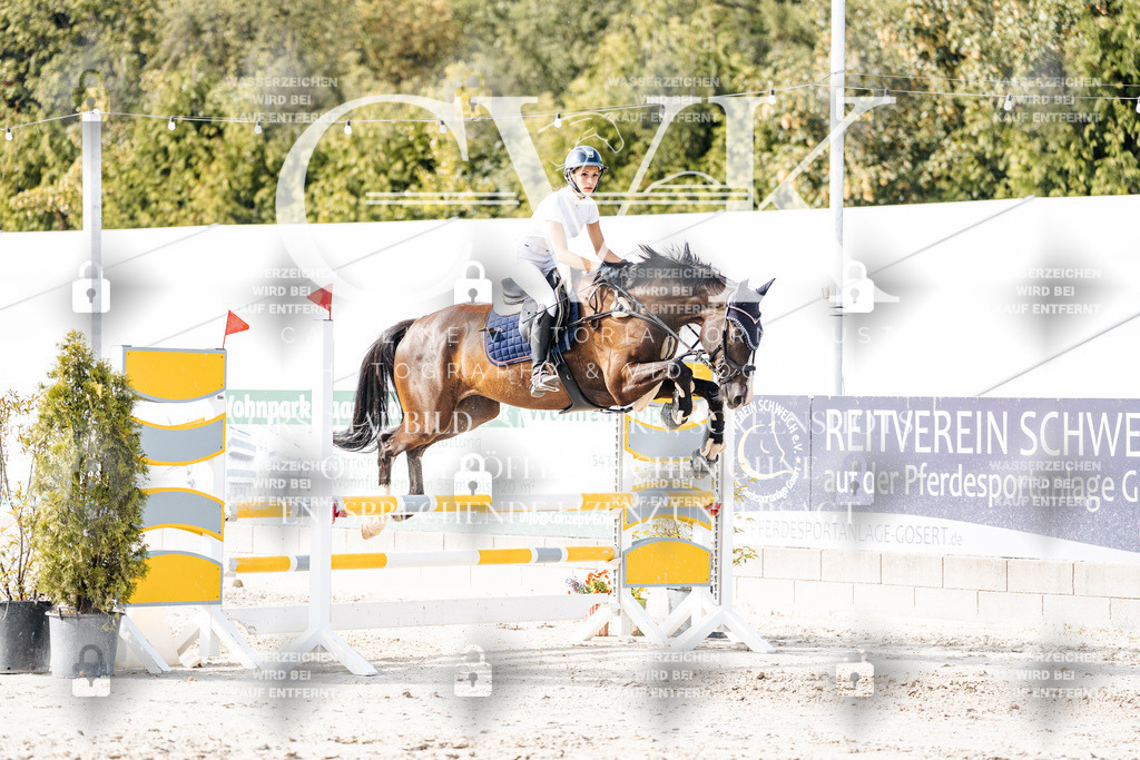 CK905922 | Turnierfotografie Pferdefotografie Trier Rheinland-Pfalz Pferdesport Reitsport Tierfotografie Sportfotografie Pferdevideo Pferdevideografie Equestrianvideography equestrianphotography  - Realisiert mit Pictrs.com