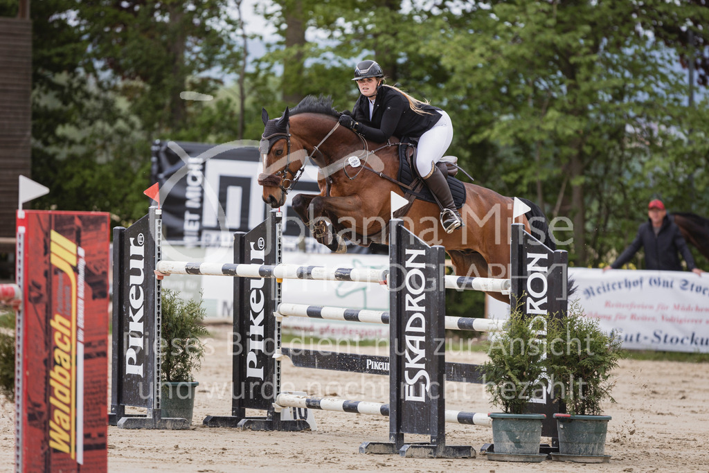 250504_SpengeW_M2-Spr-457 | Deine schönsten Turniermomente als professionelle Fotos! Entdecke hochwertige Pferdesport-Fotografie im Online-Shop. Jetzt Fotos finden & bestellen!