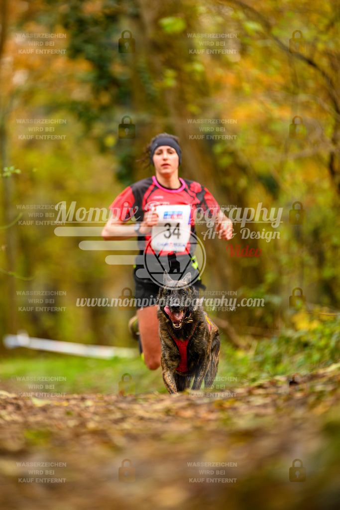 MompixPhotography_Bischwiller24_SA_Canicross-7 | mompixphotography
