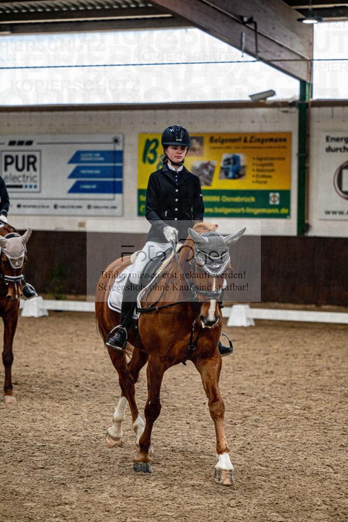 20240310-DOS_1102 | Entdecke hochwertige Reitturnierfotos von Foto Oger. Professionell, emotional und authentisch – jetzt Lieblingsmomente im Shop bestellen.Deutschlandweite Turnierfotografie. - Realisiert mit Pictrs.com