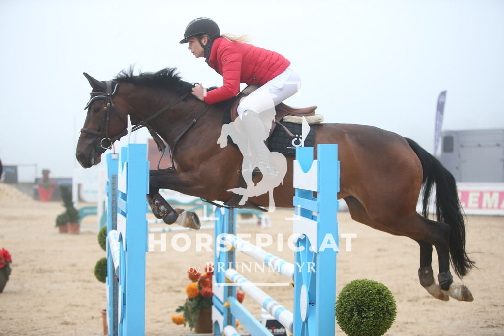 PP012537 | Willkommen bei Brunnmayr - Design & Fotografie – Ihrem Spezialisten für Reitturniere und Pferdeveranstaltungen in Oberösterreich, Salzburg und Bayern! Seit über 17 Jahren sind wir leidenschaftlich dabei.