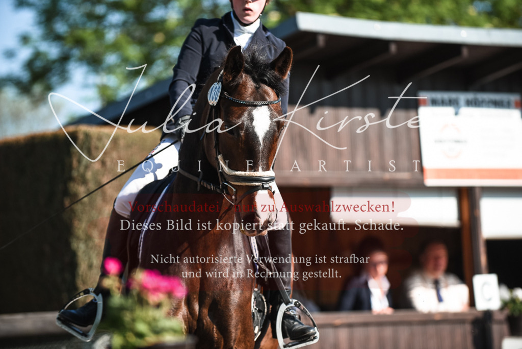 DSC_8309 | Pferde- und Turnierfotografie in Westsachsen. Pferdeportraits, Auftragszeichnungen und intuitive Kunst.