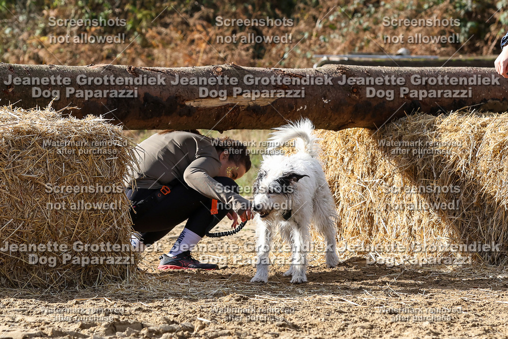 Dog Paparazzi - Strongdog 10-25-5270 | Dog Paparazzi Jeanette Grottendiek Fotografie & Videografie - Realisiert mit Pictrs.com