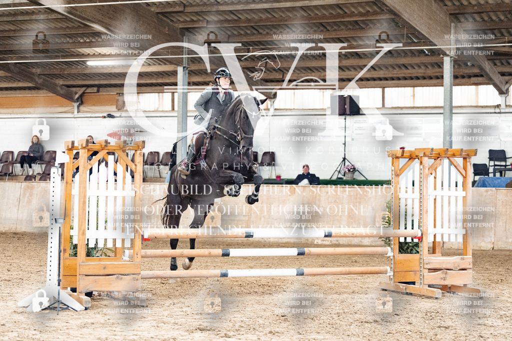 CK904686 | Turnierfotografie Pferdefotografie Trier Rheinland-Pfalz Pferdesport Reitsport Tierfotografie Sportfotografie Pferdevideo Pferdevideografie Equestrianvideography equestrianphotography  - Realized with Pictrs.com