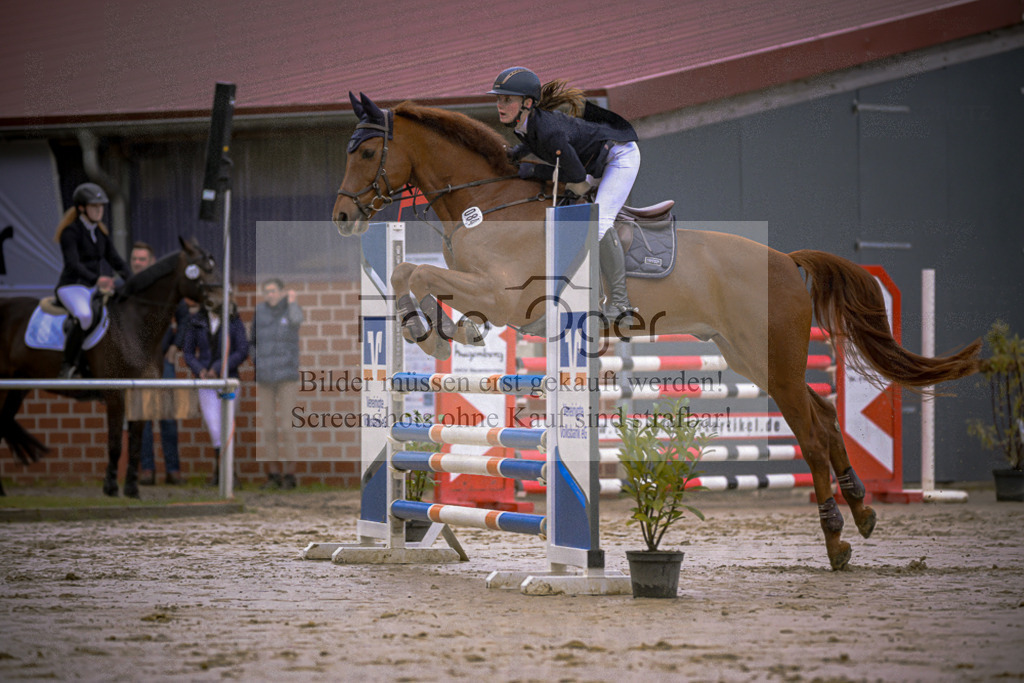 20240505-DOS_7266 | Entdecke hochwertige Reitturnierfotos von Foto Oger. Professionell, emotional und authentisch – jetzt Lieblingsmomente im Shop bestellen.Deutschlandweite Turnierfotografie. - Realisiert mit Pictrs.com