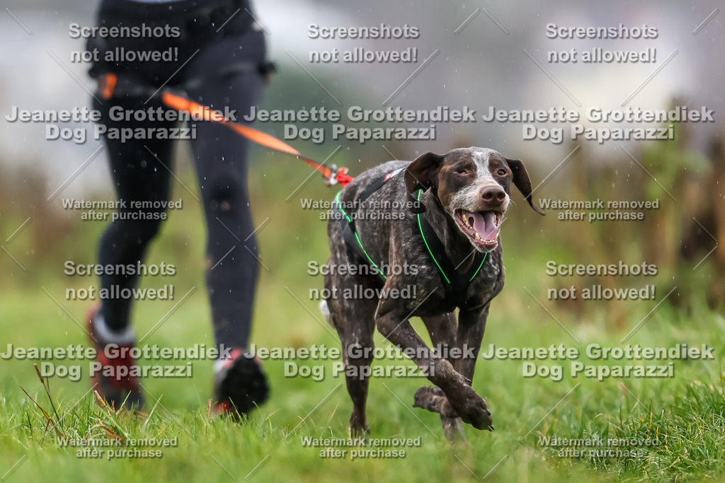 Dog Paparazzi - Herkules Race  2025-60 | Dog Paparazzi Jeanette Grottendiek Fotografie & Videografie