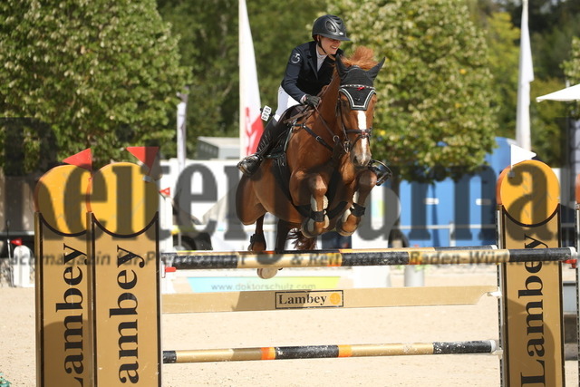 Villingendorf_2022_Prfg.Nr.12_zwei Phasen_Springprfg.Kl.M_Amateur-Tour_Evelyn Berger_Chamane 3 (2) | Alle Fotos der Reiterjournal Fotografin Doris Matthaes im Reiterjournal Online-Fotoshop. - Realizado com Pictrs.com