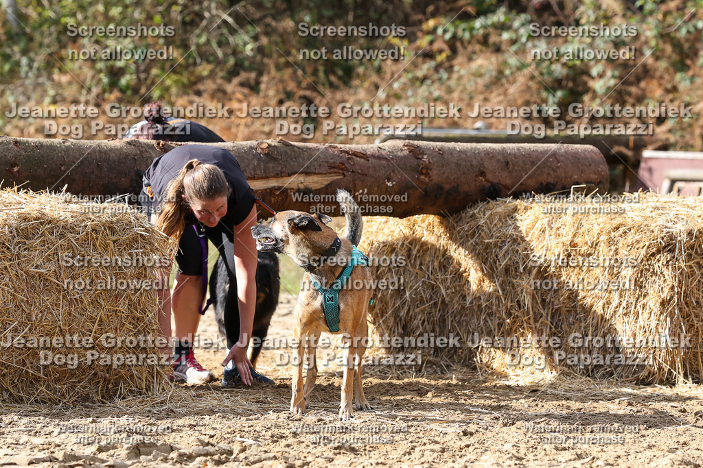 Dog Paparazzi - Strongdog 10-25-5025 | Dog Paparazzi Jeanette Grottendiek Fotografie & Videografie - Realisiert mit Pictrs.com