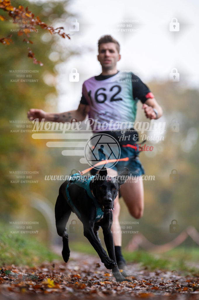 DBT_DAKM_SA_4_11_2023_Canicross-5 | PayLife