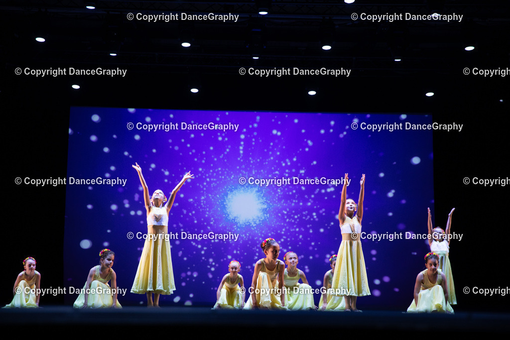 GPHY4736 | DanceGraphy - Realisiert mit Pictrs.com