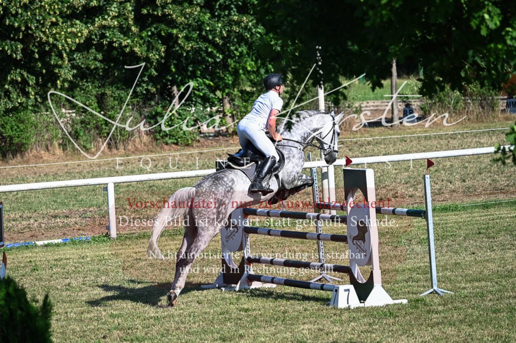 DSC_2577 | Pferde- und Turnierfotografie in Westsachsen. Pferdeportraits, Auftragszeichnungen und intuitive Kunst.