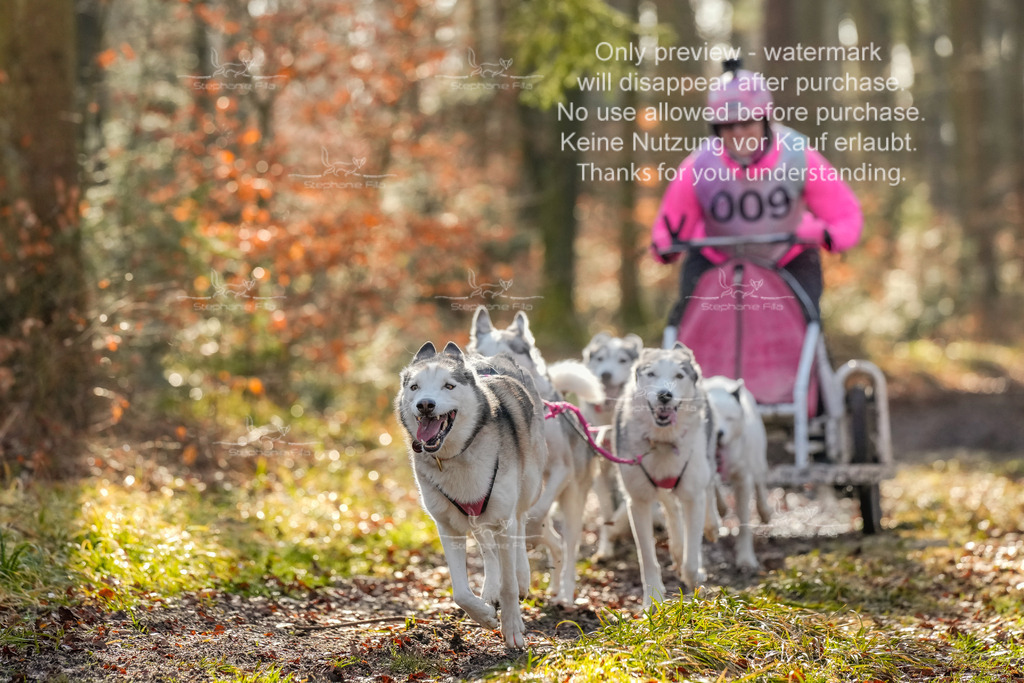 So_Gespanne-24 | stephaniefillaphotographie - Realisiert mit Pictrs.com