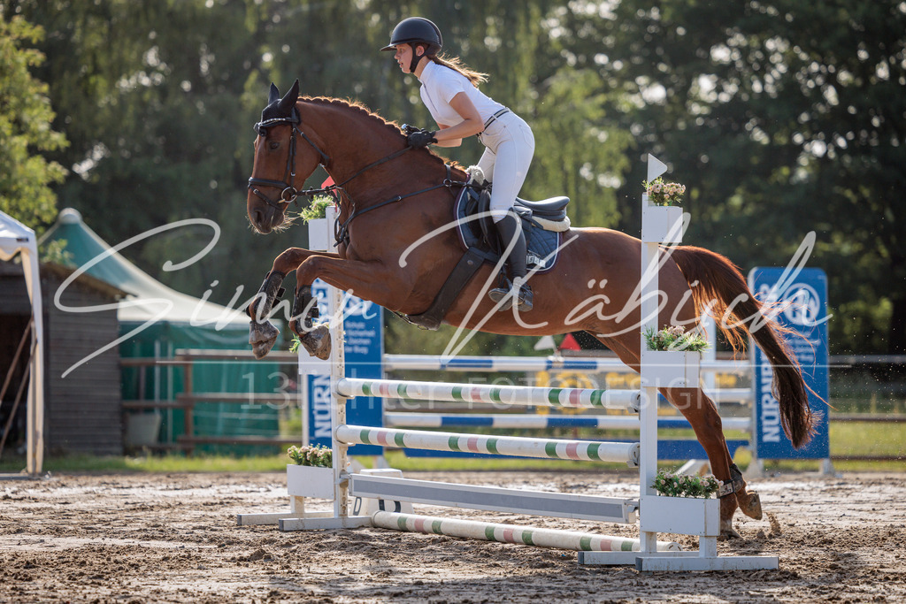 20260529-_3LI0563 | Tierfotografie Pferde, Hunde, Katzen, Haustiere.
Turnierfotografie Reitturniere, Reiten, Springreiten, Dressur in Hanau, dem Main-Kinzig-Kreis und dem Rhein-Main- Gebiet um Frankfurt