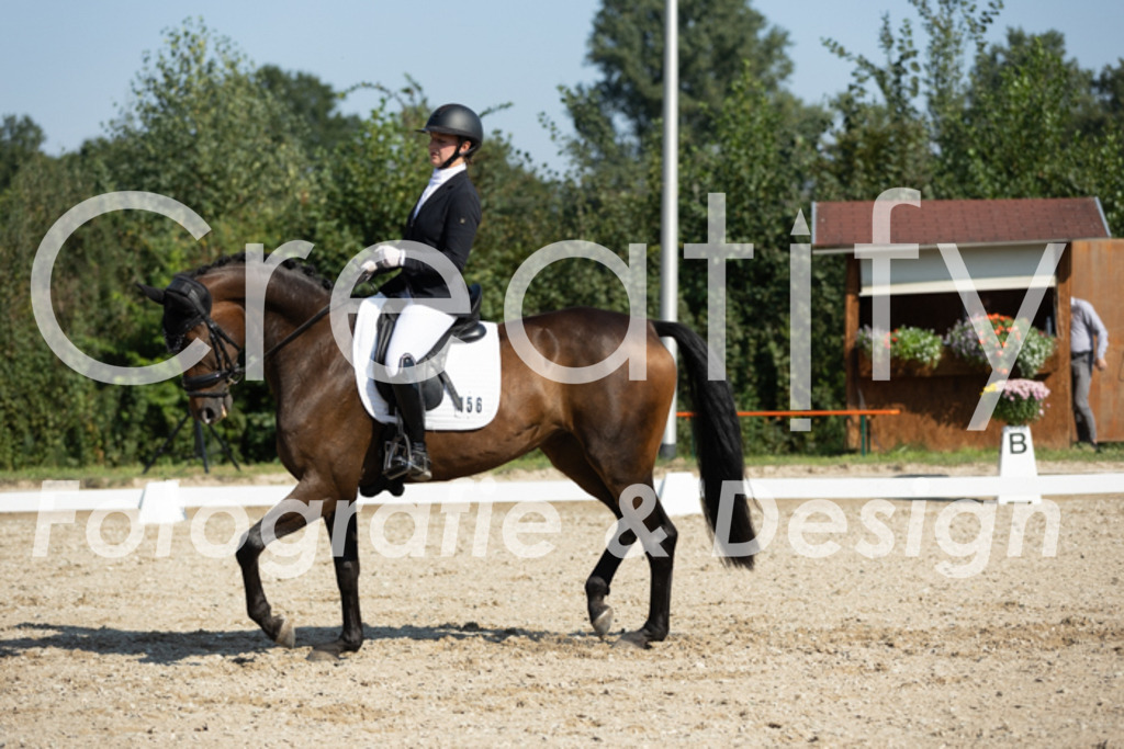 IMG_5945 | Creatify Fotografie