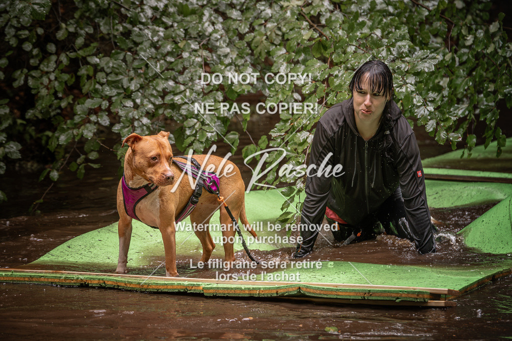 nelerasche_Wingst_Sa1330-1400_23 | nelerasche