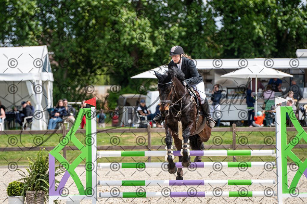 KPT_5359 | andre_photographic