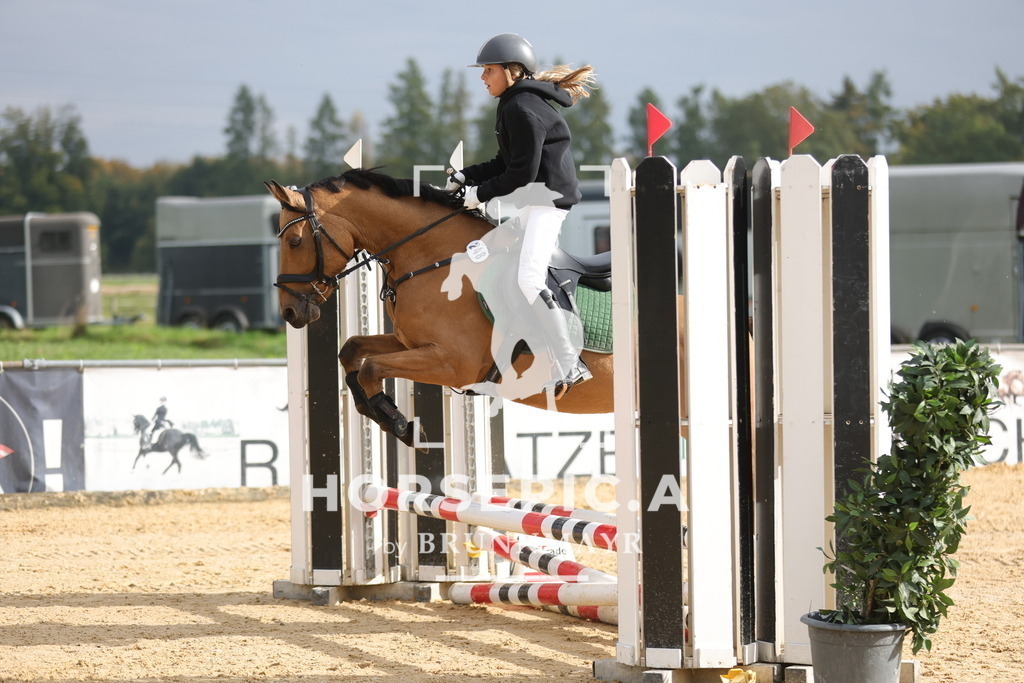 0P6A7756 | Willkommen bei Brunnmayr - Design & Fotografie – Ihrem Spezialisten für Reitturniere und Pferdeveranstaltungen in Oberösterreich, Salzburg und Bayern! Seit über 17 Jahren sind wir leidenschaftlich dabei.