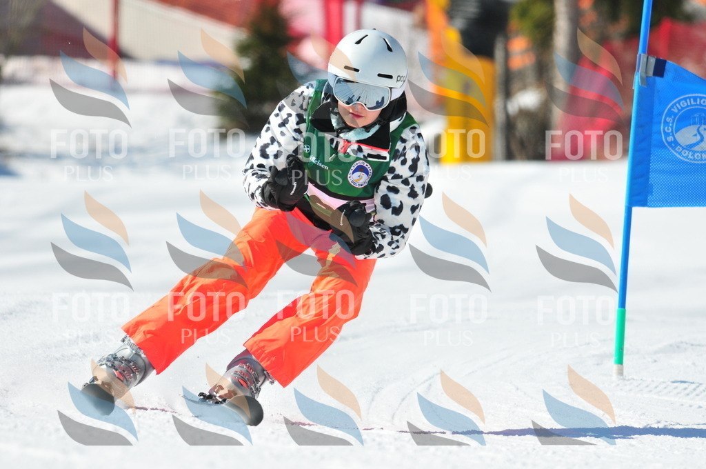 C3788 | holidayphoto