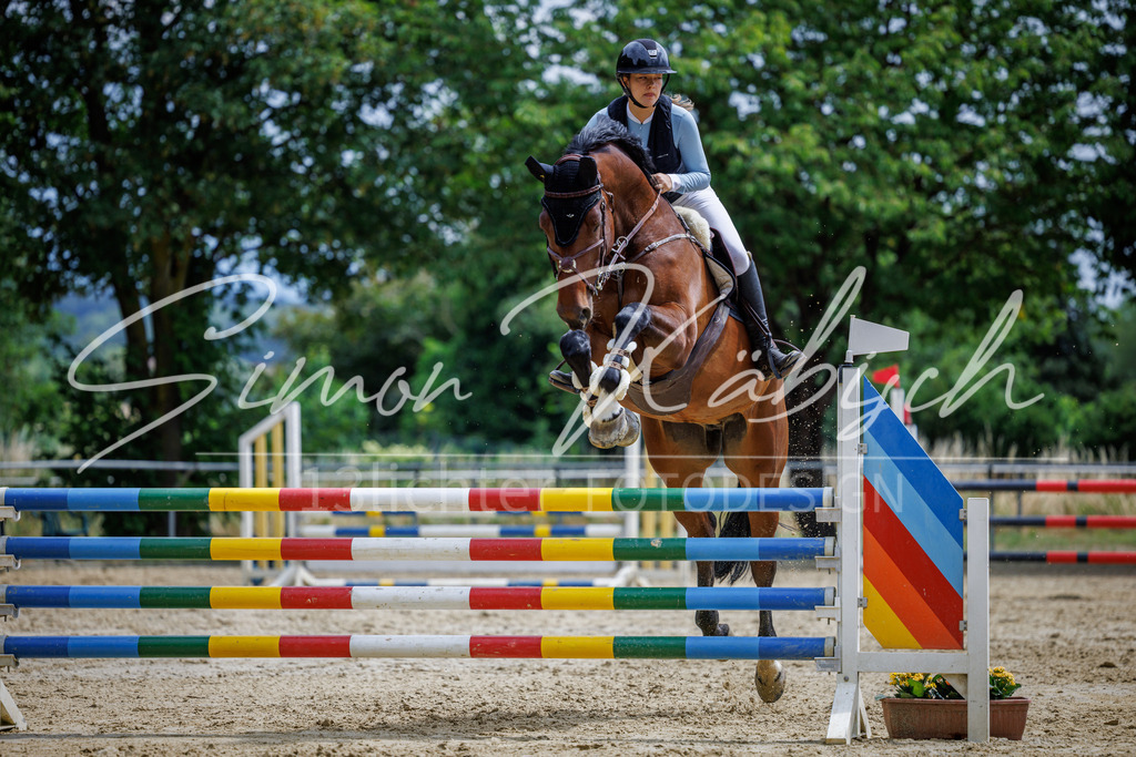 20260705-_3LI6106 | Tierfotografie Pferde, Hunde, Katzen, Haustiere.
Turnierfotografie Reitturniere, Reiten, Springreiten, Dressur in Hanau, dem Main-Kinzig-Kreis und dem Rhein-Main- Gebiet um Frankfurt