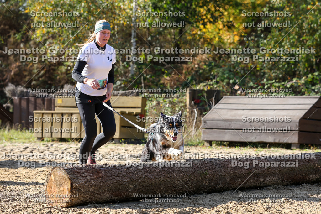 Dog Paparazzi - Strongdog 10-25-6020 | Dog Paparazzi Jeanette Grottendiek Fotografie & Videografie - Realisiert mit Pictrs.com